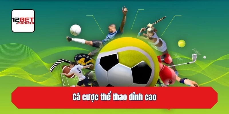 Cá cược thể thao đỉnh cao