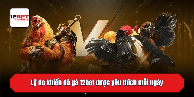 Lý do khiến đá gà 12bet được yêu thích mỗi ngày